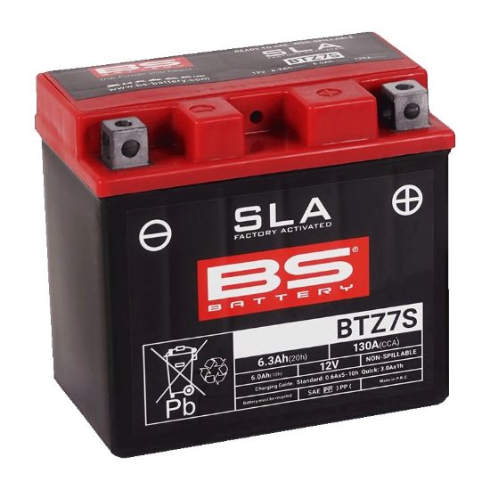 PictureAltAttribute - SLA-BTZ7S-300635-bat-jpg